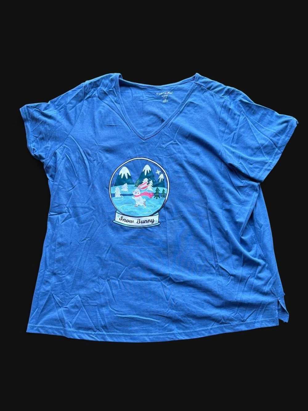 ✨Blue Snow Bunny graphic tee with bunny in a snow globe design, size 2X✨